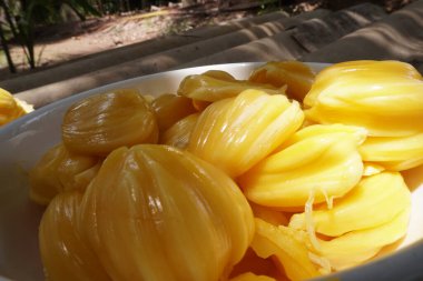 Olgun ve güzel kokulu sarı kaya meyvesi mevsimi