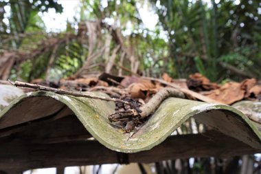 Oluklu demir çatı ve eski fayanslar.
