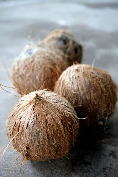 Ernte Der Getrockneten Kokosnüsse Vom Kokosnussbaum — Stockfoto