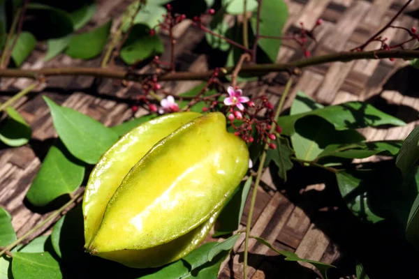 金银花 Carambola 又名星果或五指 是原产于东南亚热带地区的一种树的果实 — 图库照片