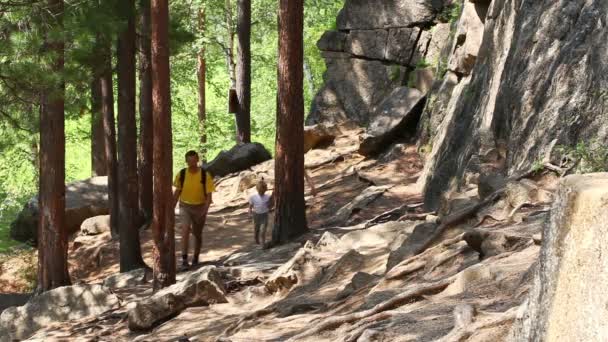 Familia y amigos caminando montañas — Vídeos de Stock