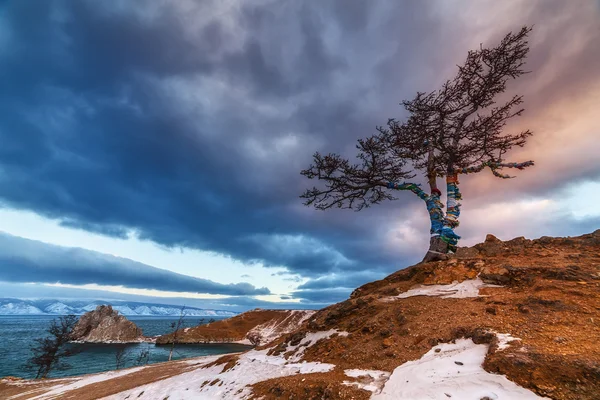 Vinter Bajkal sjön liggande på Olkhon — Stockfoto