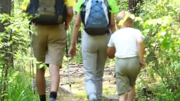 Keluarga dan teman-teman berjalan pegunungan — Stok Video