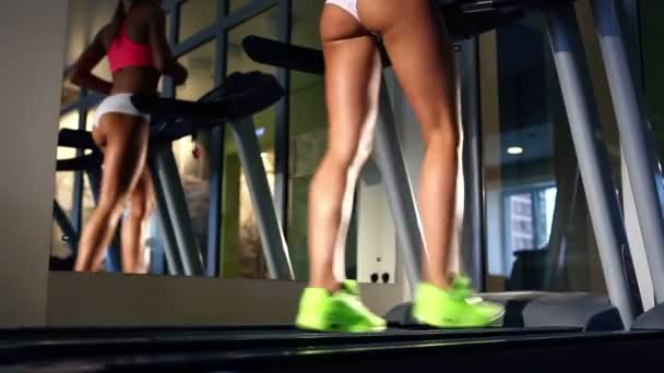 Belle gambe delle donne sul tapis roulant — Video Stock