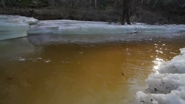Річка взимку навесні — стокове відео