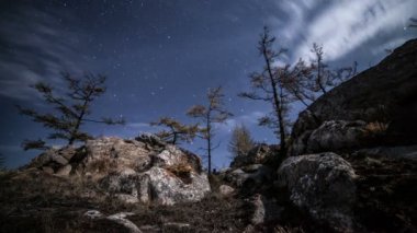 Orman gece zaman atlamalı