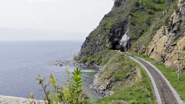 Treno a vapore andare dal tunnel — Video Stock