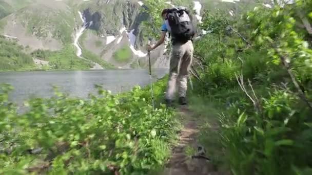 Caminante mujer es caminar montaña , — Vídeos de Stock