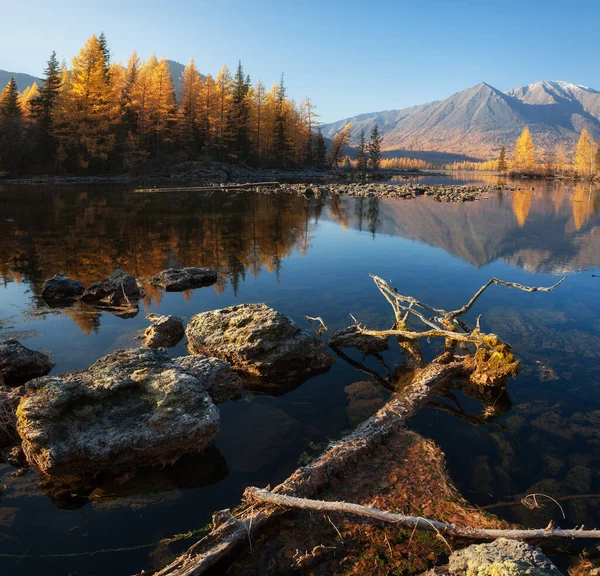 Soluppgång vid sjö i bergskedja. Vacker reflektion i vatten Royaltyfria Stockbilder