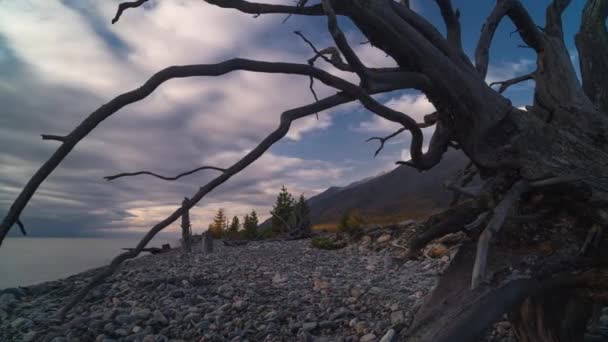 Time lapse of cloud on lake coast and mountain peak. Pebble beach with rock. Crooked dead dry tree — Stock Video