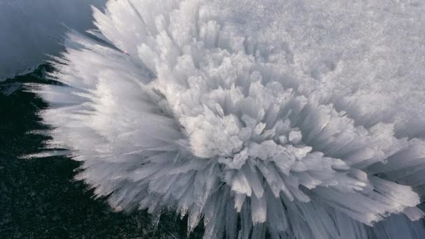 Hielo en el lago Baikal en primavera a punto de derretirse. Fragmento de carámbano primer plano macro disparo. Aguja desmenuzada — Vídeo de stock