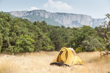 Güneşli bir çayır üzerinde çadır