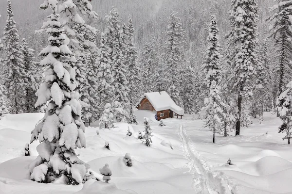 Chalet dans forêt enneigée — Photo