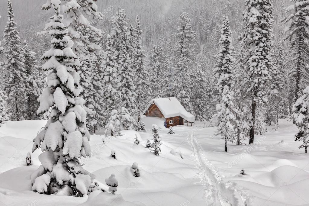 животные зимой для детей. зимой в лесу. лесные жители зимой. красивая зима. зимняя избушка.