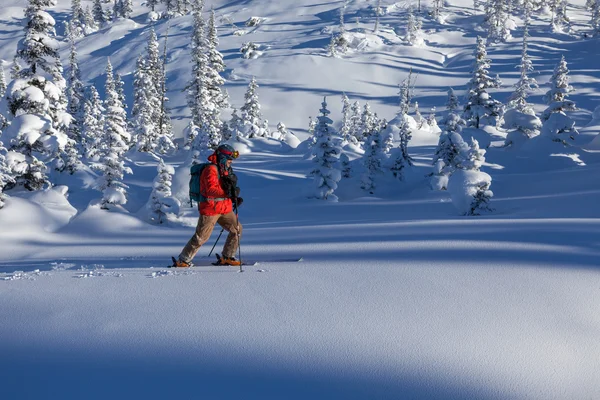 Skiër walking winter forest — Stockfoto