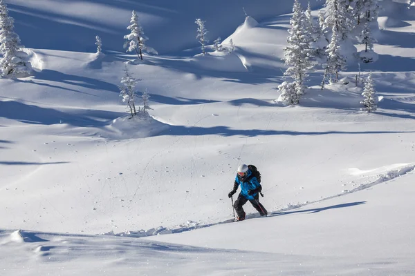 Skifahrer beim Wandern im Winterwald — Stockfoto