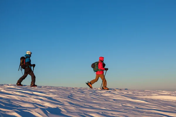 Dva lyžaři chůzi zasněžené pole — Stock fotografie