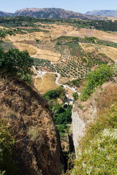 Parkın bakış açısından görüntüler