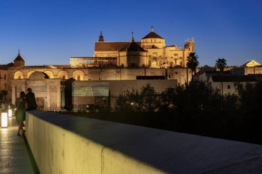 Camii gece görüşü - katedral, duvarda ışıkla yansıtılan şehrin adını görebilirsiniz 