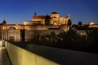 Camii gece görüşü - katedral, duvarda ışıkla yansıtılan şehrin adını görebilirsiniz 
