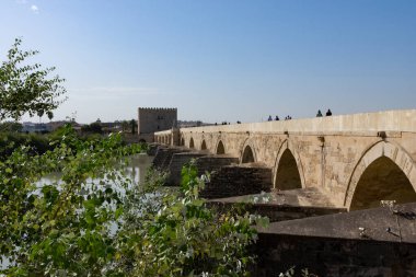 Roma köprüsü, nehir ve kalahorra kulesi manzarası.