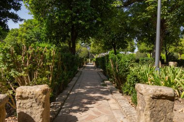 Binanın çevresindeki bahçelerin manzarası