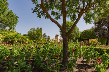 Binanın çevresindeki bahçelerin manzarası
