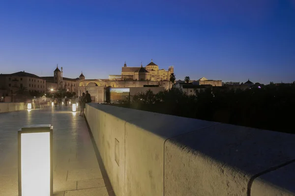 Vista Nocturna Mezquita Catedral Pared Puede Ver Nombre Ciudad Proyectado — Foto de Stock