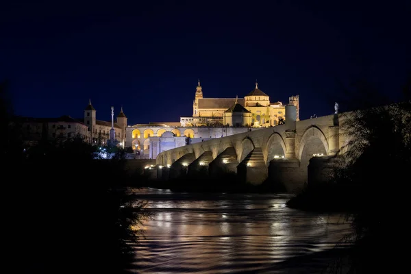 Nehir manzarası, köprü ve cami katedrali.
