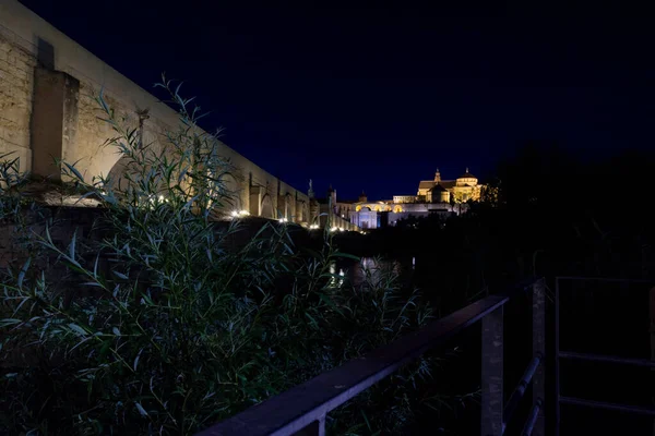 Night View River Bridge Mosque Cathedral — Stock Photo, Image