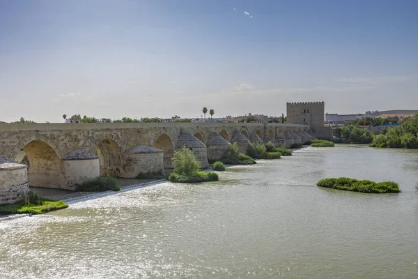 Uitzicht Romeinse Brug Rivier Calahorra Toren — Stockfoto