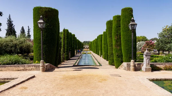 Vista Los Jardines Dentro Del Recinto Del Edificio — Foto de Stock