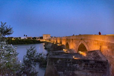 Cami manzarası - katedral, köprü ve nehir