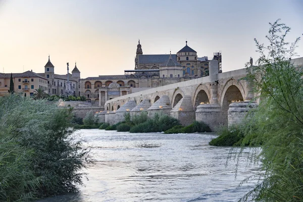 Cami Manzarası Katedral Köprü Nehir — Stok fotoğraf
