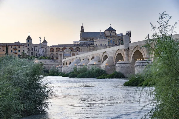 Uitzicht Moskee Kathedraal Brug Rivier — Stockfoto