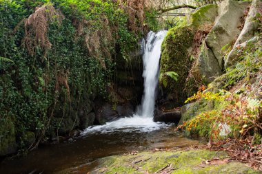 Yürüyüş sırasında nehir manzarası ve bitki örtüsü