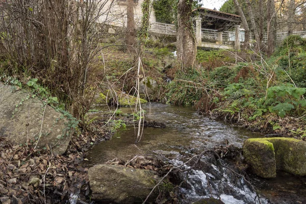Yürüyüş sırasında nehir manzarası ve bitki örtüsü