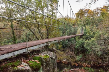 Galiçya 'nın doğal bitki örtüsüyle, doğanın ortasındaki yapıya bakmak