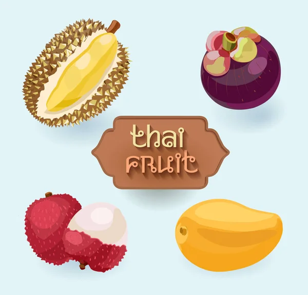 Thai Gyümölcs Gyümölcs Thaiföldről Licsi Duriai Mangó Mangosztán Ázsiai Gyümölcs — Stock Vector