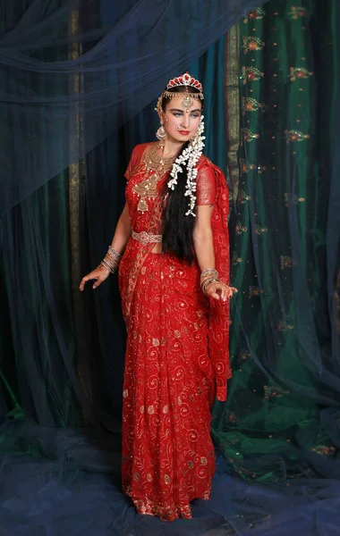 Beautiful ethnic Indian saree. woman in red, colorful, wedding - Indian sari. Traditional national clothing of Indian women.