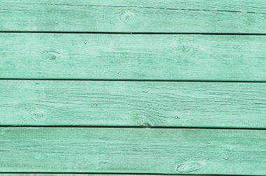 ağaç, yeşil, çit