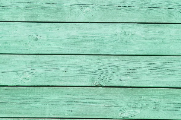 ağaç, yeşil, çit