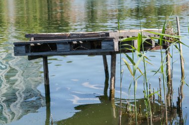 Köprü balıkçılık spot