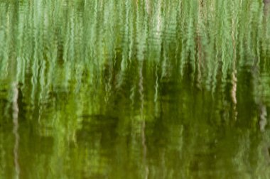 su yüzey yansımasını