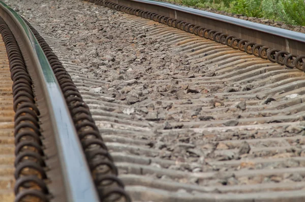 Demiryolu gülümsemek güneşli gün olmadan bir tren