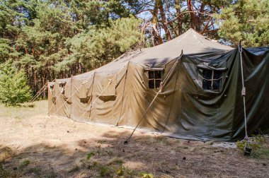 çadırda ormanda
