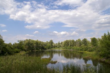 Güneşli bir gün nehir
