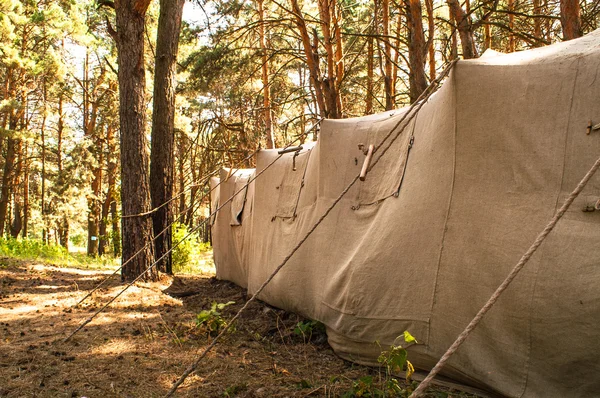 Tenda na floresta — Fotografia de Stock