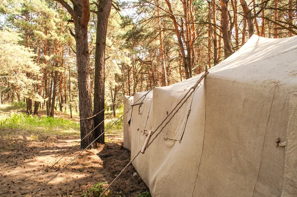 Tenda na floresta — Fotografia de Stock