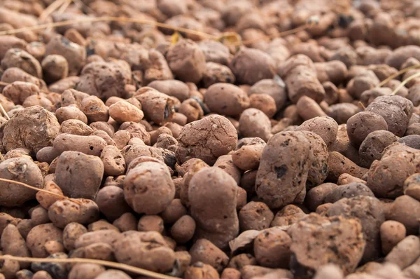 Expanded clay aggregate — Stock Image Expanded clay aggregate Stock Image